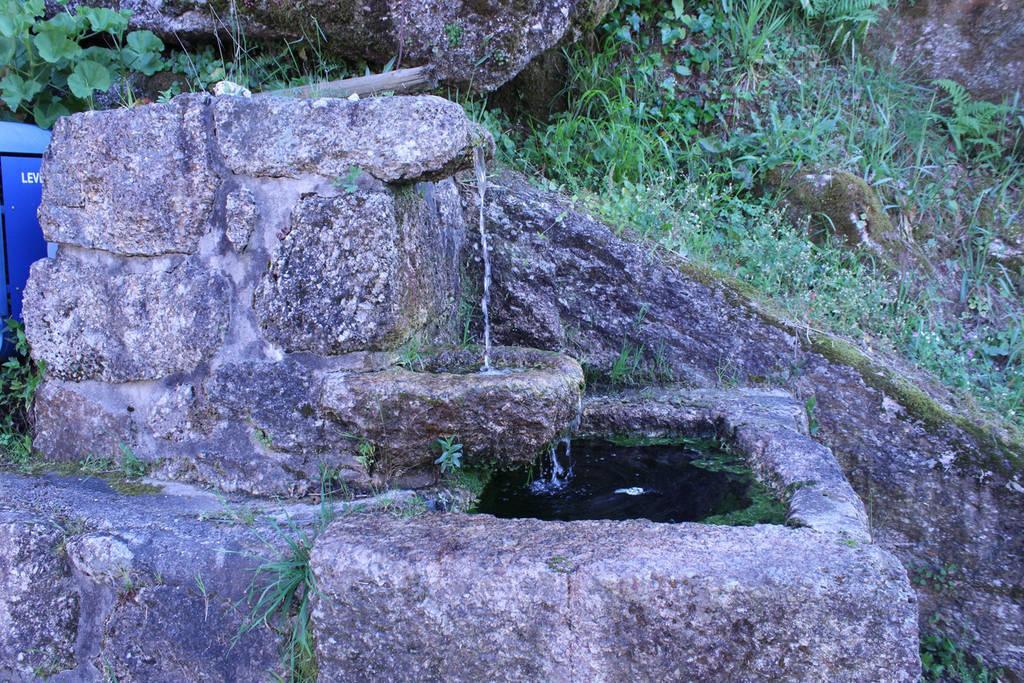 Casa Das Bonecas Vieira do Minho Εξωτερικό φωτογραφία
